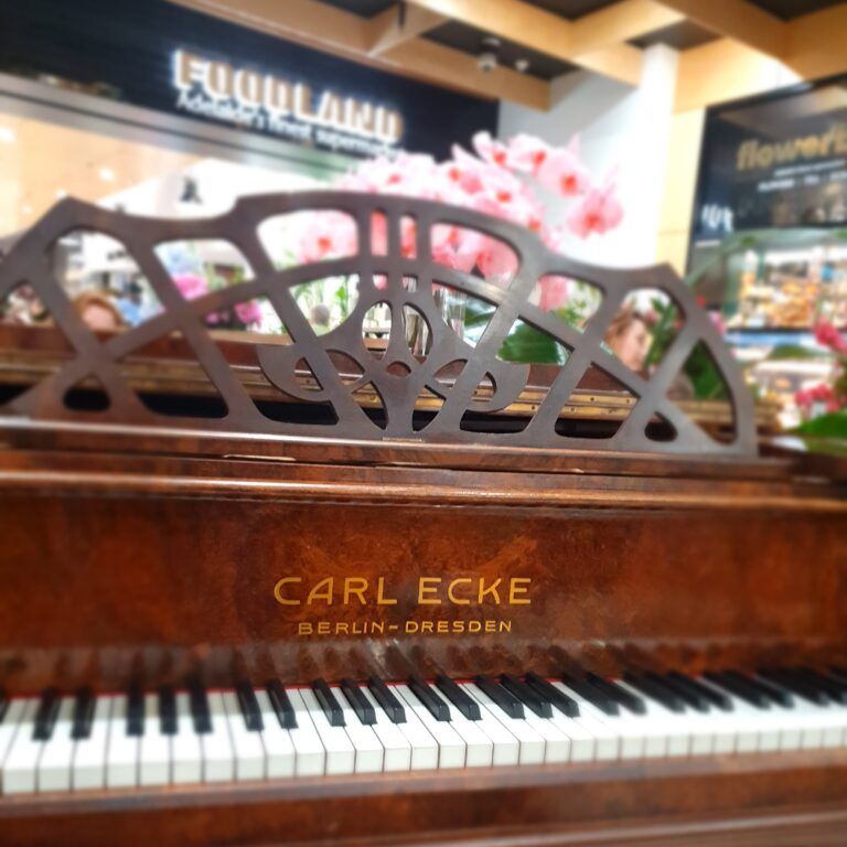 Supermarket Pianist piano
